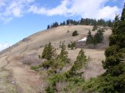 3.24.06 Dog Mountain 030 